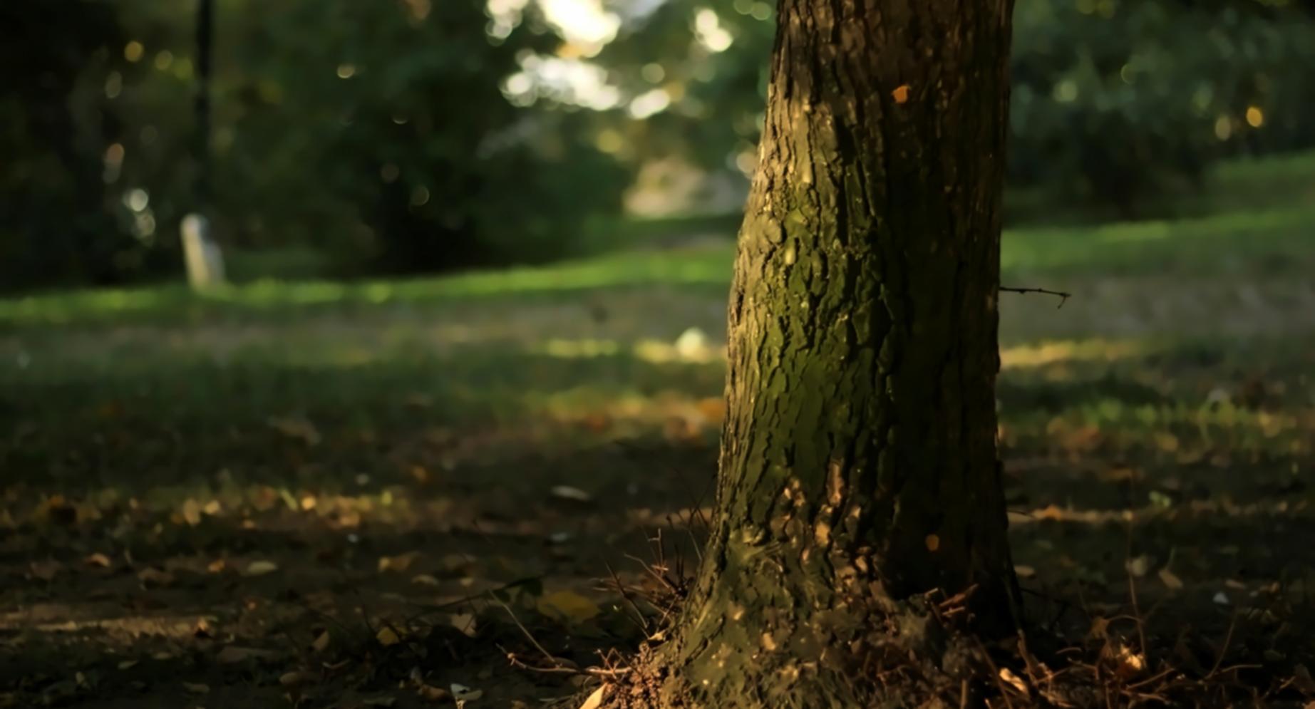 汚染制御の国際セミナー実績
